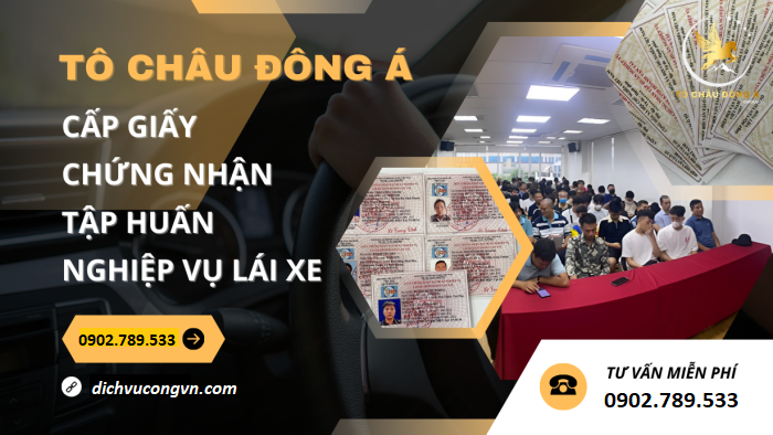Đào tạo cấp chứng chỉ tập huấn nghiệp vụ cho tài xế